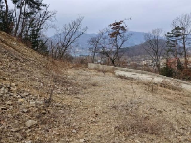 B000252202501300309352.jpg