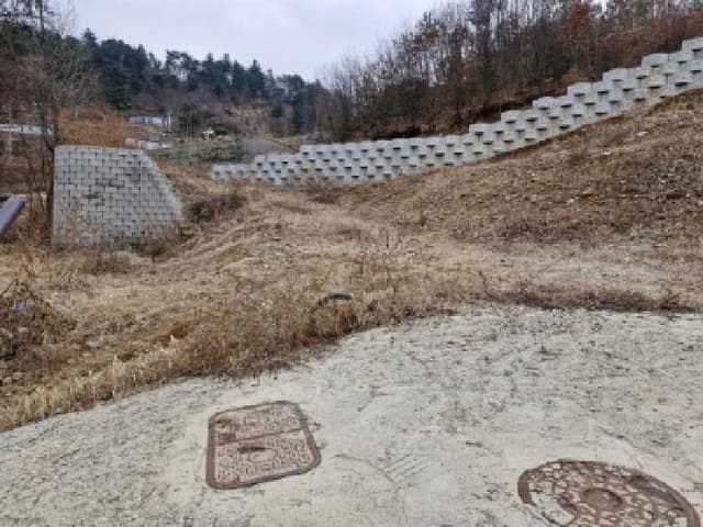 B000252202501300309354.jpg