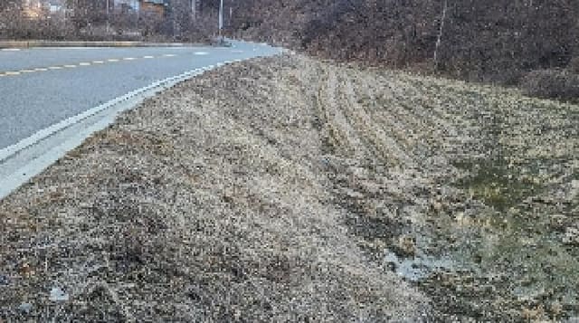 B000252202501300309372.jpg