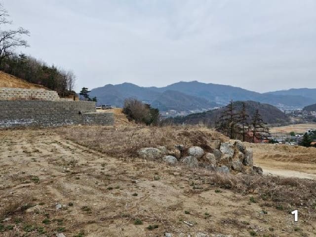 B000252202501300309612.jpg