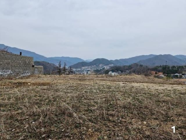 B000252202501300309613.jpg