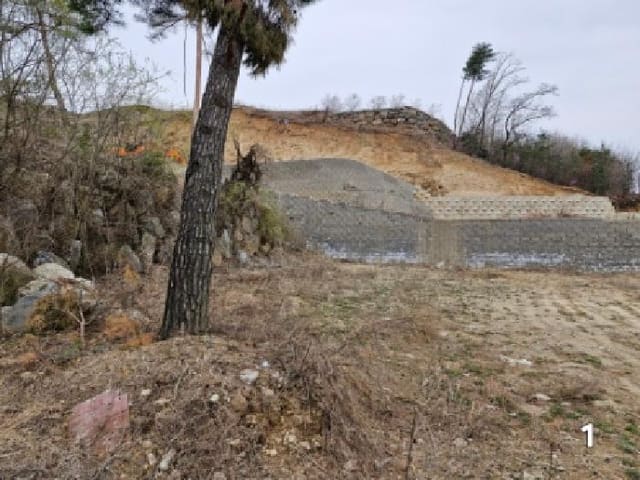B000252202501300309611.jpg