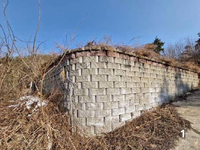 B000252202501300309982.jpg