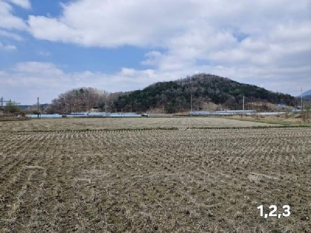 B000252202501300310463.jpg