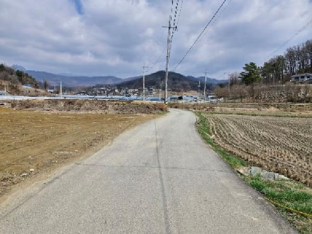 B000252202501300310461.jpg
