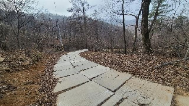 B000252202501300310781.jpg