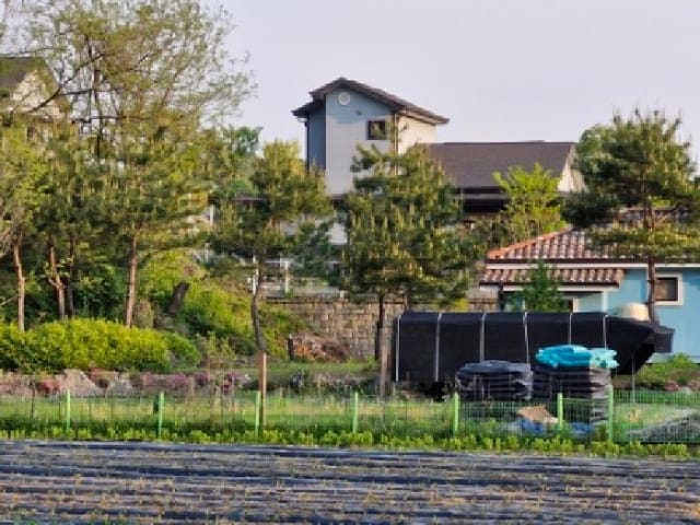 B000252202501300311233.jpg