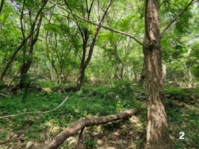 B000252202501300312463.jpg
