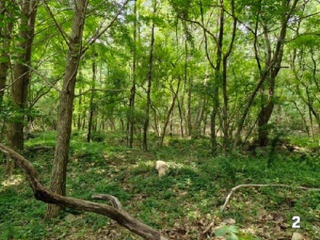 B000252202501300312462.jpg
