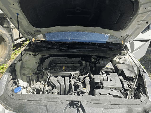 B000252202601300303707.jpg