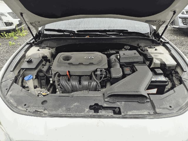 B000252202601300304284.jpg
