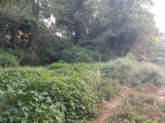 B000253202401300037472.jpg