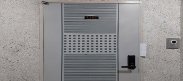 B000253202401300401282.jpg