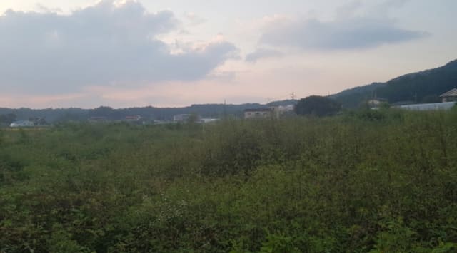 B000253202401300499652.jpg