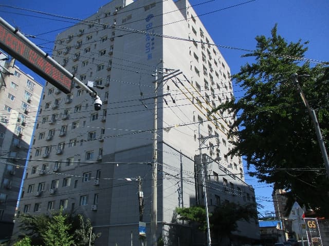B000253202401300509414.jpg