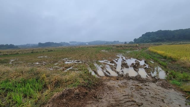 B000253202401300520464.jpg
