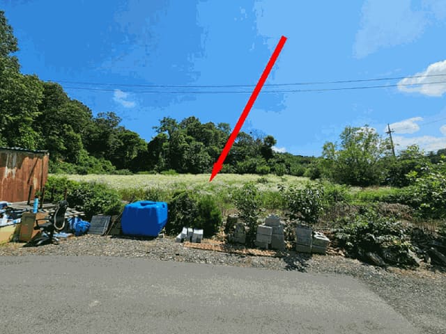 B0002532025013000070410.jpg