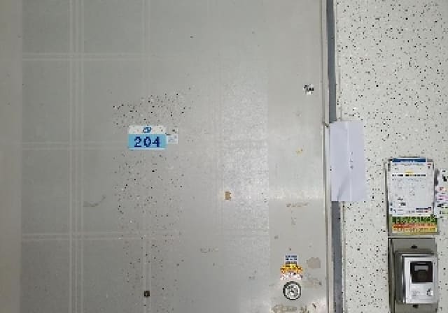 B000253202501300007132.jpg