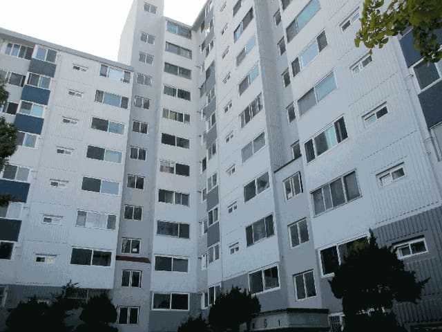 B000253202501300008594.jpg