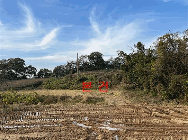B000253202501300009084.jpg