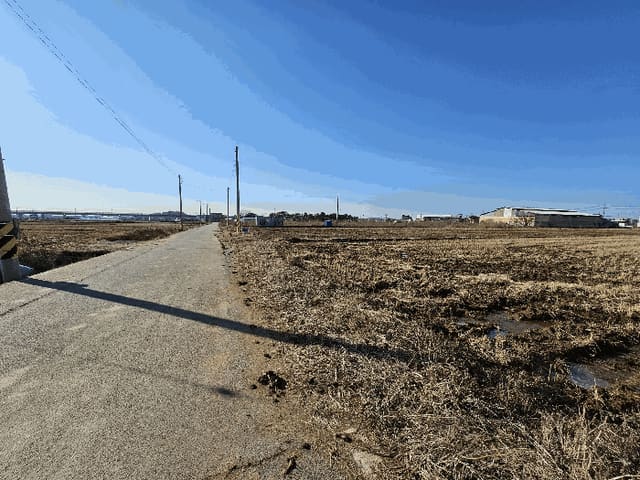 B000253202501300009784.jpg
