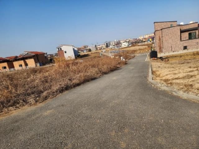 B000253202501300009894.jpg