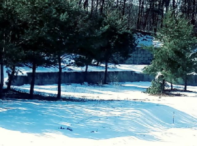 B0002532025013004011822.jpg