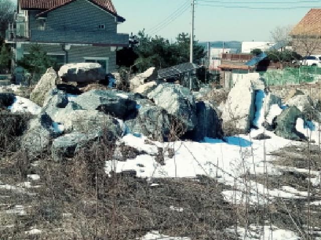B0002532025013004011820.jpg