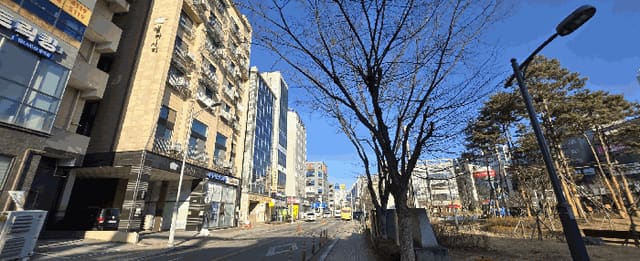 B000253202501300412834.jpg