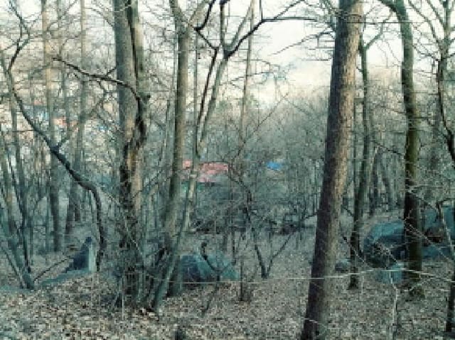 B000253202501300414772.jpg