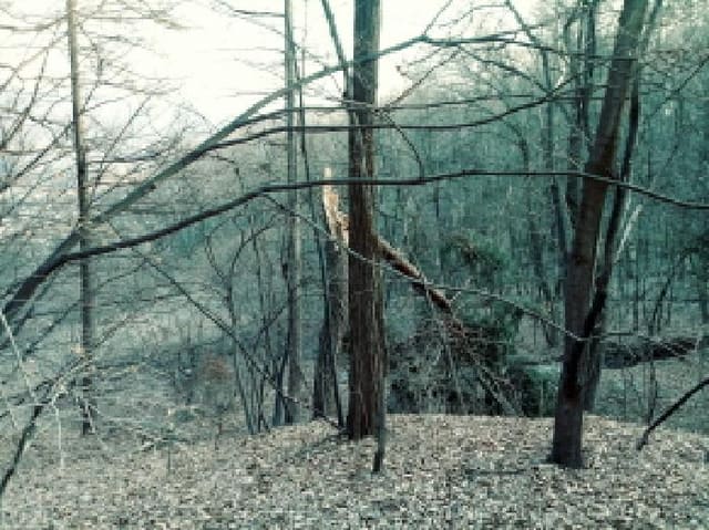 B000253202501300414774.jpg