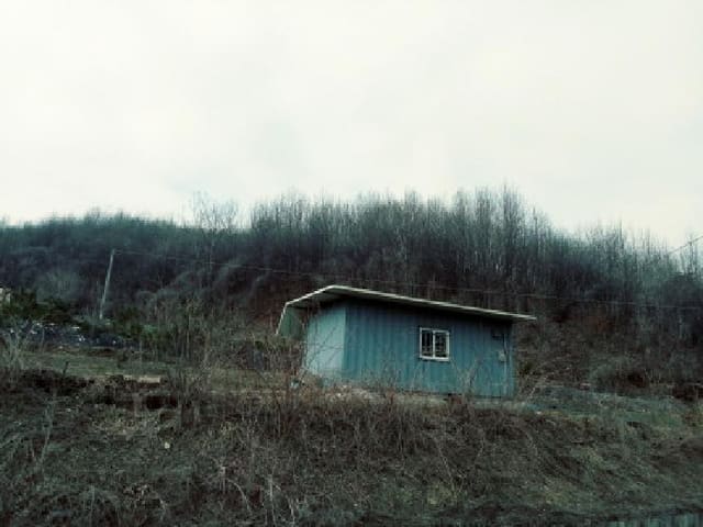 B000253202501300414812.jpg