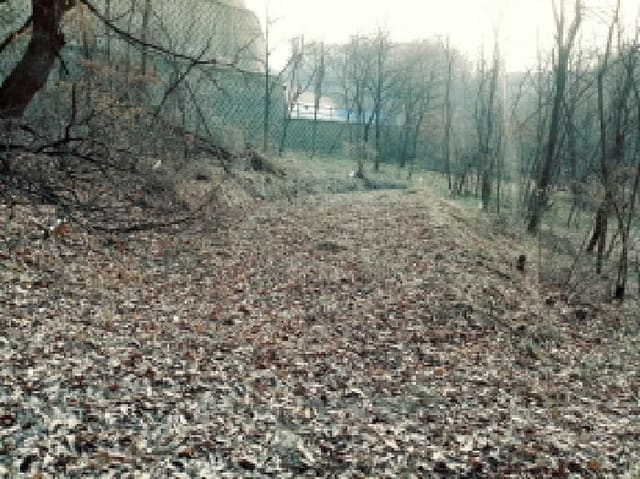 B000253202501300415571.jpg