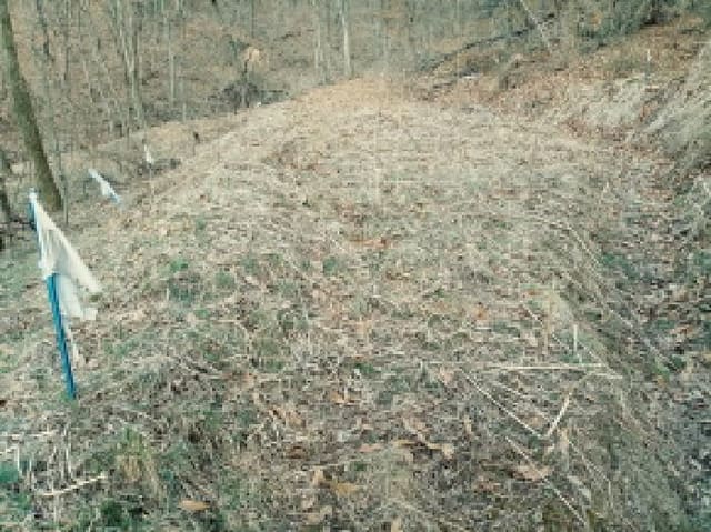 B000253202501300415572.jpg