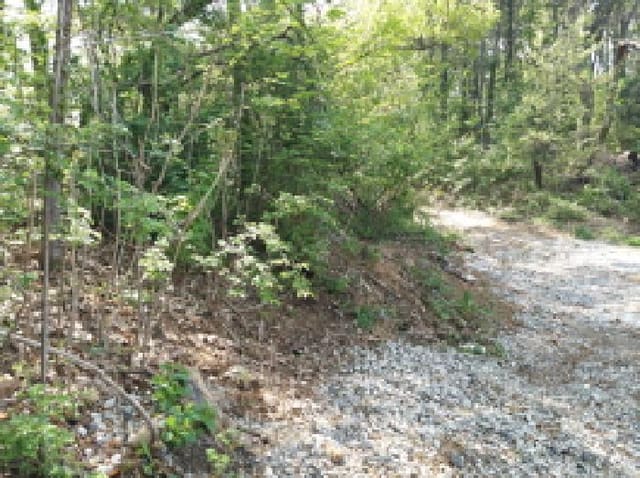 B000253202501300415974.jpg