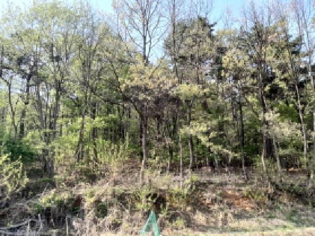 B000253202501300416032.jpg