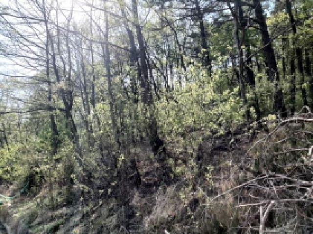 B000253202501300416033.jpg