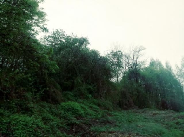 B000253202501300416903.jpg