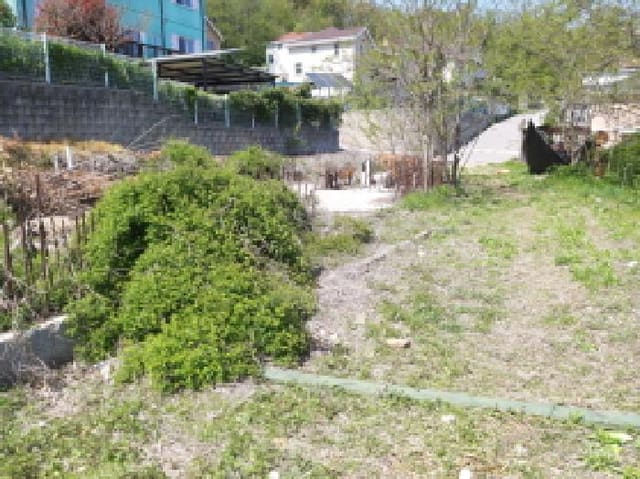 B000253202501300417543.jpg