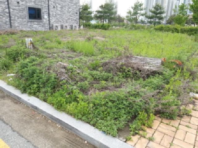 B000253202501300417883.jpg