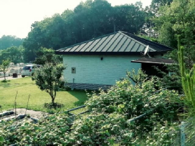 B000253202501300418471.jpg