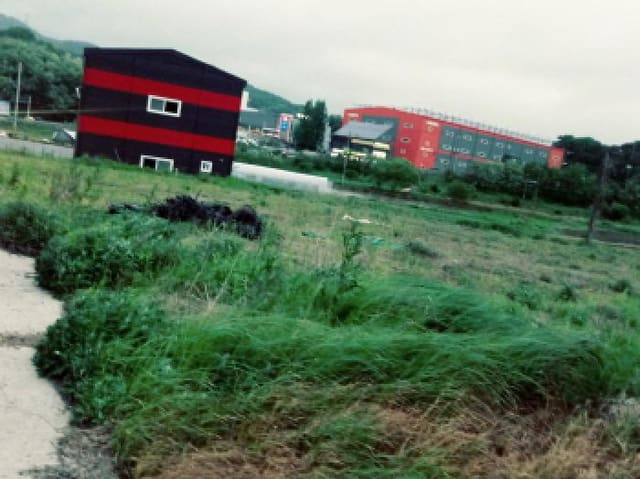 B000253202501300418483.jpg