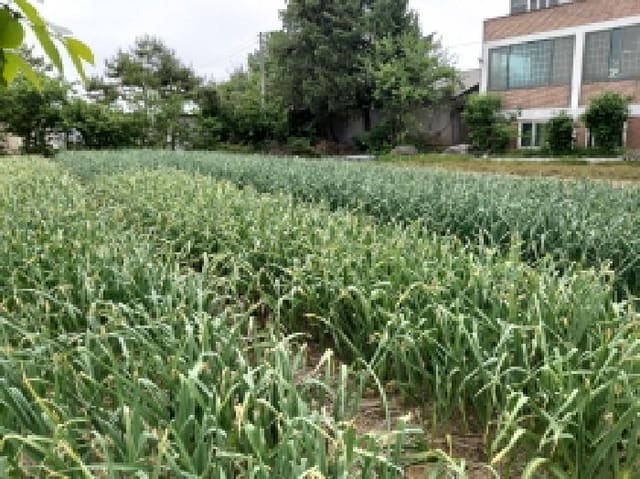 B000253202501300418642.jpg