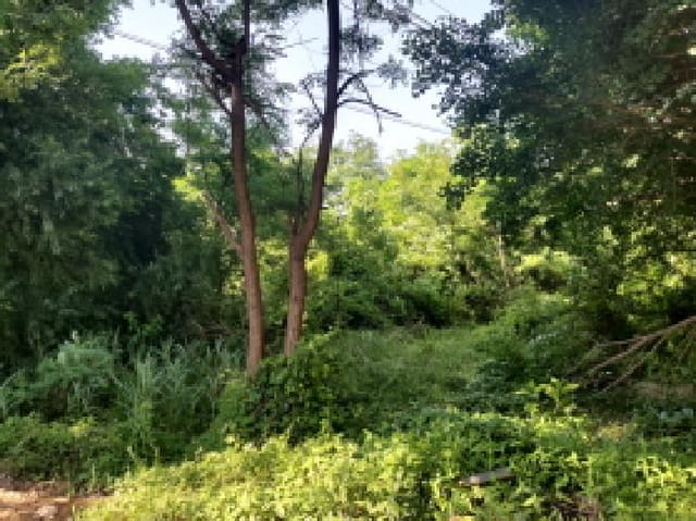 B000253202501300419993.jpg