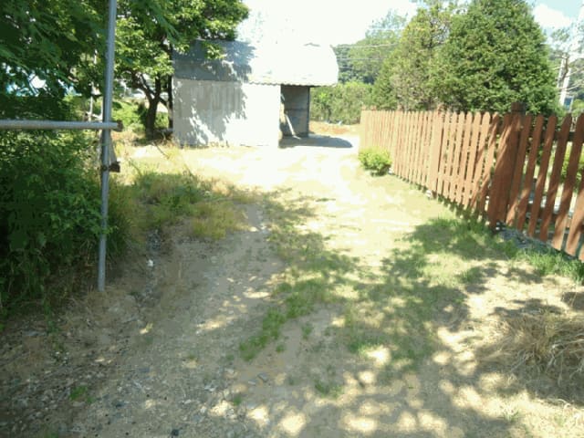 B0002532025013004200523.jpg