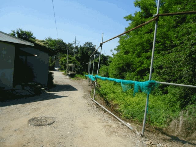 B0002532025013004200520.jpg
