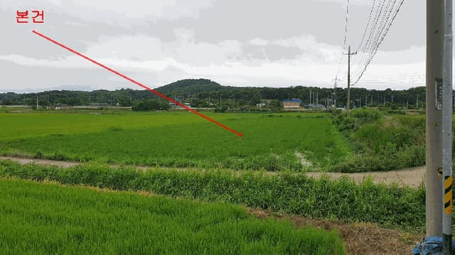 B000253202501300421964.jpg