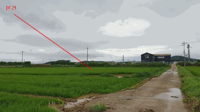 B000253202501300421962.jpg