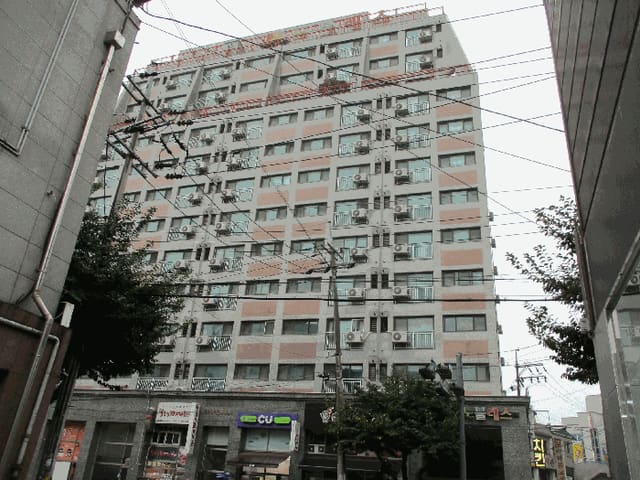 B000253202501300423684.jpg