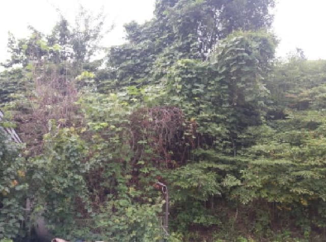 B000253202501300425071.jpg